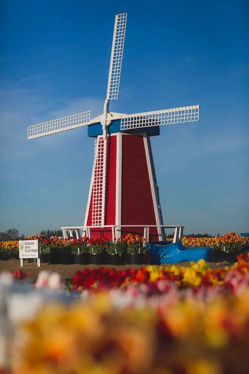 Amsterdam Sightseeing Tours
